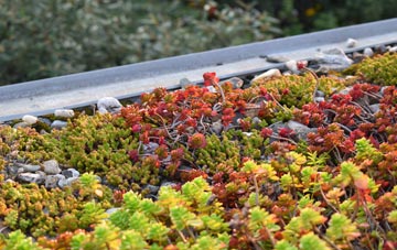 the cost of Baldwins Hill green roof installation