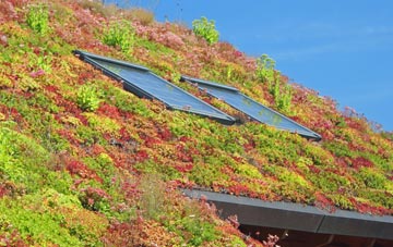 Baldwins Hill living roof systems