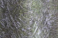 Baldwins Hill fibreglass roof work